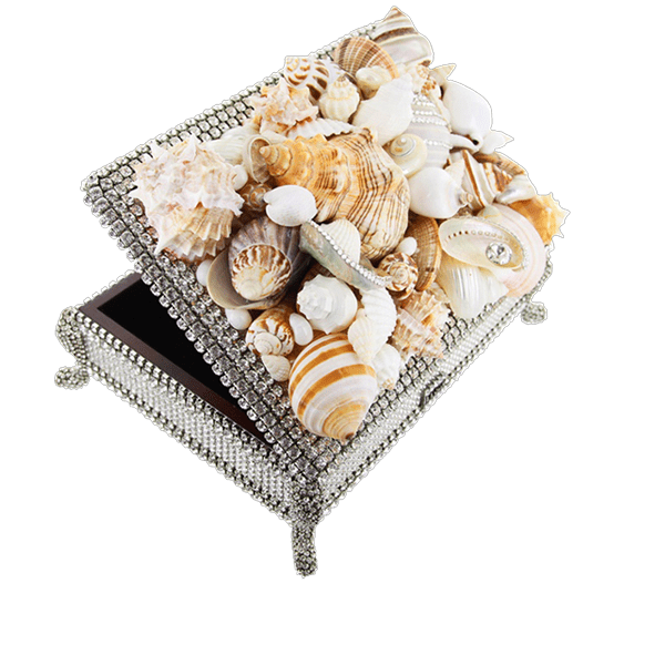 bb Simon Swarovski crystal jewelry box J-717 - Image 3