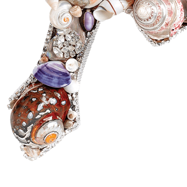 SCC-200 - Image 3