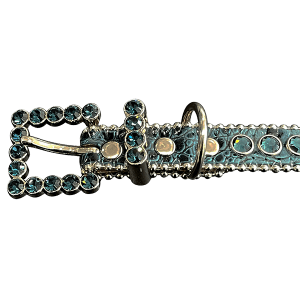 Pet Collar - Montana