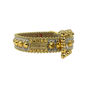 Pet Collar - Gold Sheen