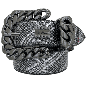 Crystal Prestige-Silver Coiled Serpent-Hematite