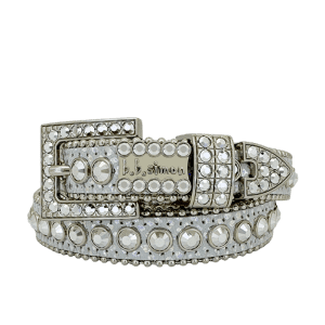 Alegra - Silver / Chrome