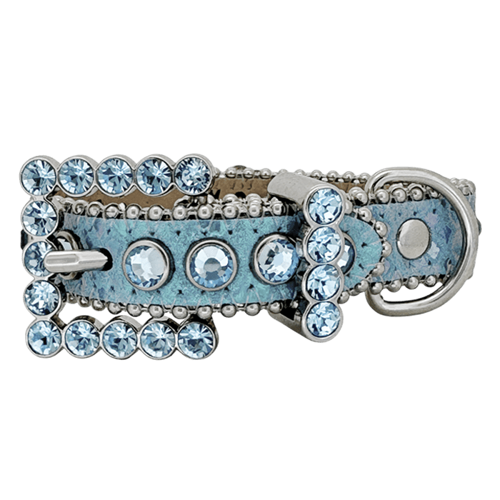 Pet Collar Multi /Galaxy Blue